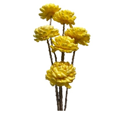 6 Stem Chrysanthemum Flower Branches - Sunkist 